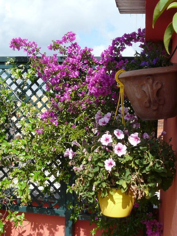 Li Rioni Bed & Breakfast Rome Buitenkant foto